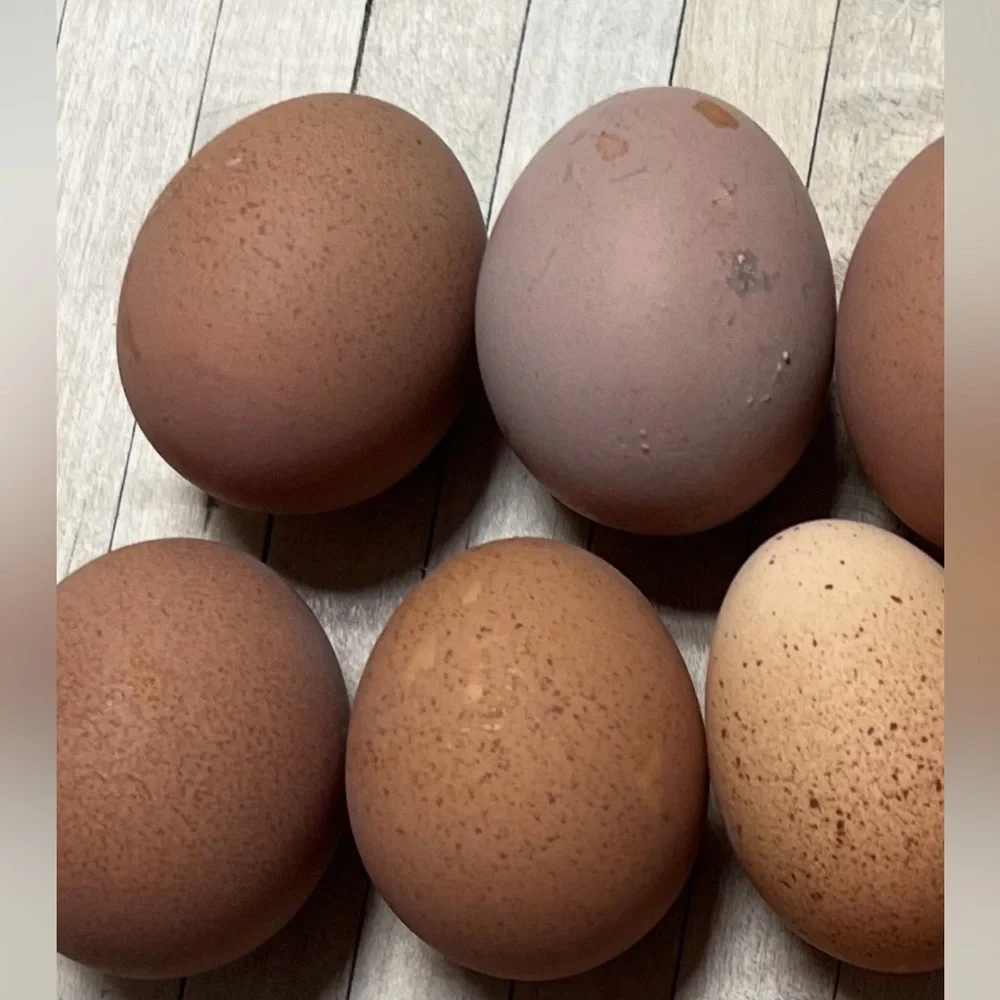 Hatching eggs 🪺 - Picture 14 of 15